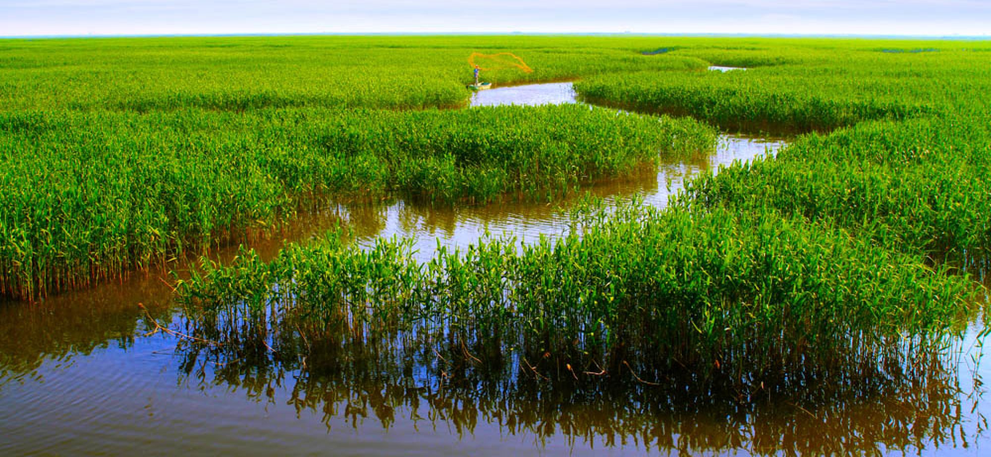 加入《湿地公约》30年 中国湿地保护工作取得哪些成效？
