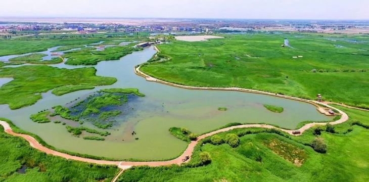 各地湿地公园达1600余处 中国湿地生态状况持续改善