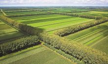 国家林草局：2021年三北工程营造林1343万亩