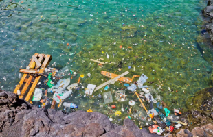 塑料污染日益严峻 治理路在何方