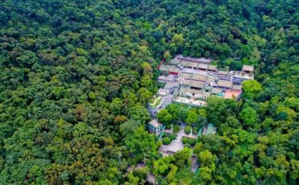 广东今年以来完成造林与生态修复逾74万亩