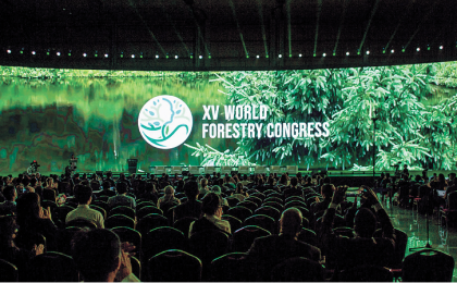 第十五届世界林业大会：通过森林打造绿色、健康和有韧性的未来