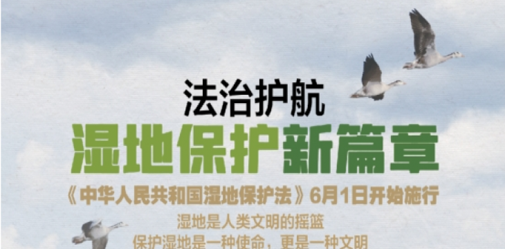 保护“地球之肾”！《中华人民共和国湿地保护法》施行