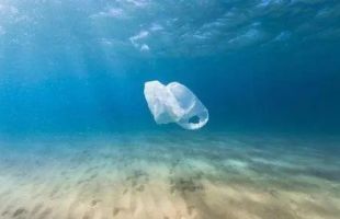 日本研发可在海中自然降解的新型塑料