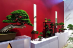 2022中国厦门国际花卉及花园园艺博览会启幕 亮点纷呈