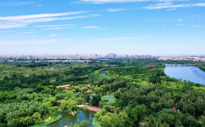 北京市造林绿化面积达100.8万亩  森林覆盖率提高至44.6%