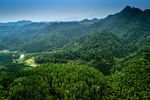《辽宁省林业有害生物防治条例》今年10月起施行
