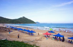深圳海滩垃圾年度监测工作启动
