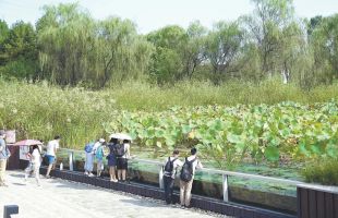 北京“十四五”再建50处小微湿地