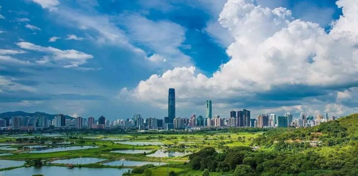 深圳市开展大气污染防控百日攻坚行动