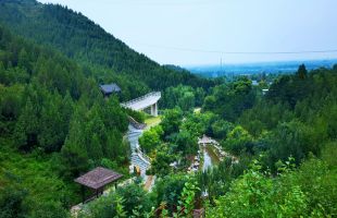北京推进新型集体林场建设:林木管护好 群众享实惠