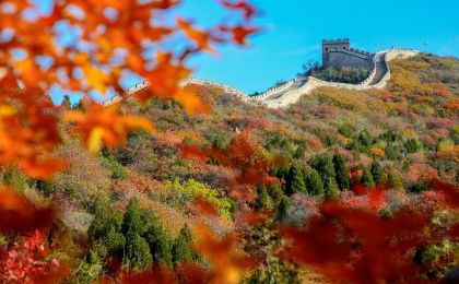 北京红叶季正式开启 带上这份赏叶地图去秋游