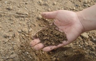 北大荒完成全国第三次土壤普查试点外业工作