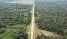 巴西亚马孙地区近40年失去10%植被