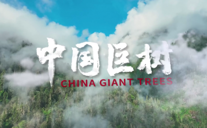 《中国巨树》纪录片在CBD COP15大会上发布