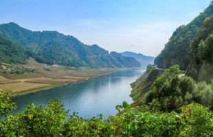 辽宁省完成生态修复面积超13万亩