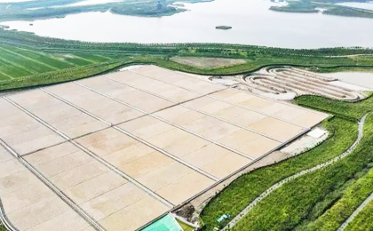华北地区规模最大尾水人工湿地在津完工
