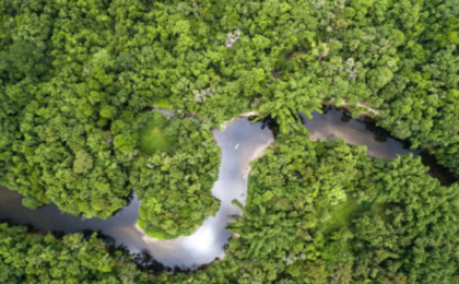 德拟向亚马孙基金提供3800万美元，助巴西保护亚马孙雨林