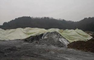 河南平顶山一皮具厂非法处置危险废物 21人被追责问责