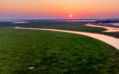 鄱阳湖区人工繁育苦草 推进退化湿地生境恢复