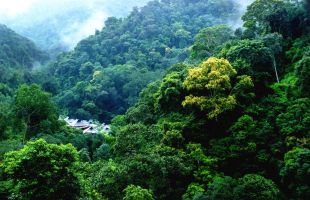 以二十大精神为指引 夯实人与自然和谐共生的现代化生态根基