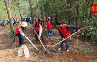 学雷锋践初心，这些环保志愿者开展植树活动，助力“绿美东莞”建设