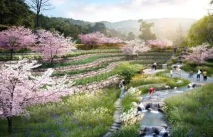 荒山变“药谷”，双浦镇拓展林下产业链带动乡村共富