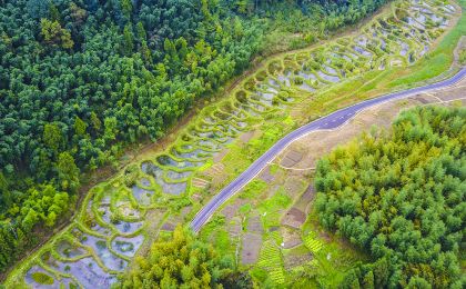 《小微湿地保护与管理规范》国家标准出台 让湿地保护更全面