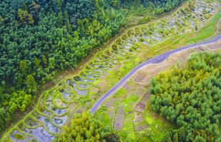 《小微湿地保护与管理规范》国家标准出台 让湿地保护更全面