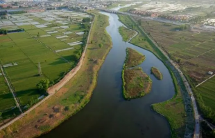 河北全面规范生态修复项目申报实施等环节