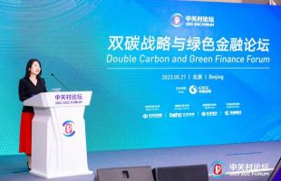 助推双碳战略，中国绿色投资规模去年已达2.6万亿