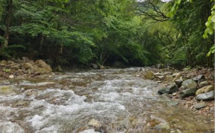 黄山九龙峰探索多方参与生物多样性保护