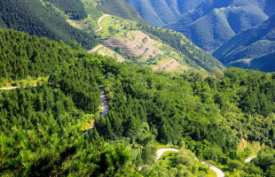北京山区森林覆盖率达67%