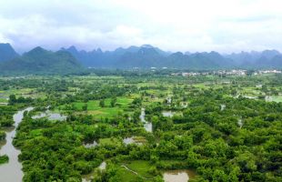 广西发力修复漓江流域生态 修复生态湿地约4.6万平方米 