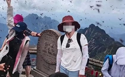 黄山景区出现大量“飞虫冲脸”？景区回应