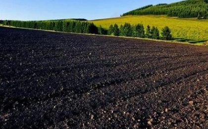 生态环境部将加大黑土地保护力度
