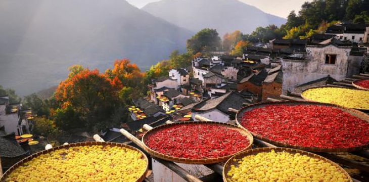 我国新增4个联合国世界旅游组织“最佳旅游乡村” 数量居世界第一