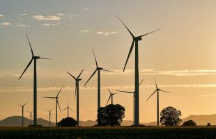 构建风电行业可持续发展管理体系 风电ESG与可持续发展论坛在厦门召开
