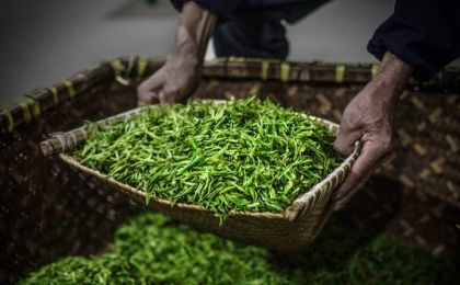 国际茶界专家体验径山茶宴 共话茶文化互鉴合作