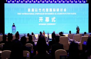 首届以竹代塑国际研讨会在北京召开 我国启动“以竹代塑”三年行动