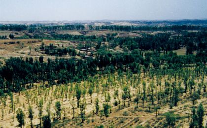 “三北”工程三大标志性战役进展顺利造林种草超过1000万亩