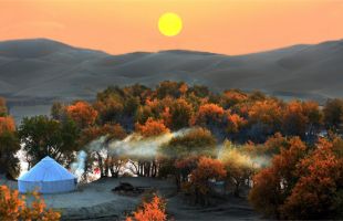 文旅部推荐！新疆这四条乡村旅游精品线路等你来打卡