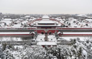 全网都在等的故宫美图，来了！