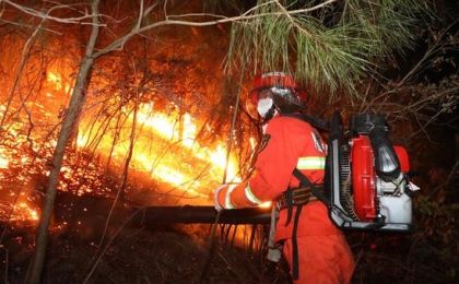 国家森防指办公室对贵州森林火灾多发进行督办