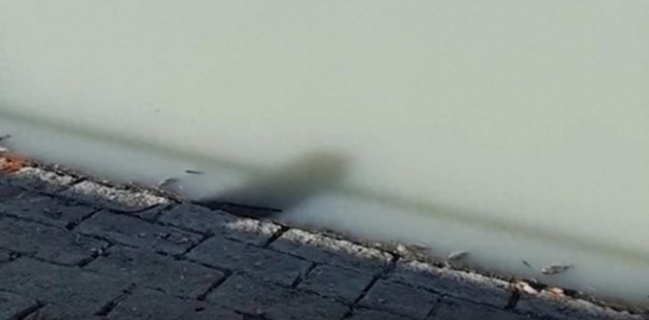 威海乳山一河流乳白色发臭，环境部门：污水管破损，住建局已介入