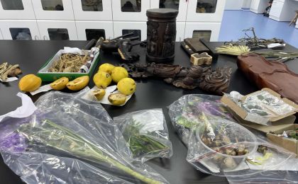 177种外来物种被一次性截获，如何破解潜藏的生态危机