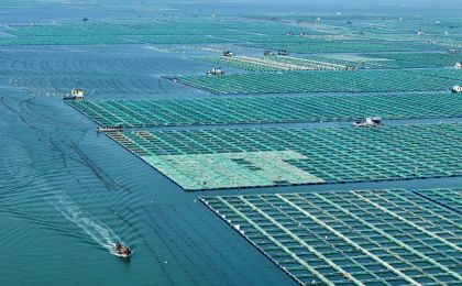 一季度我国海洋生产总值2.5万亿元
