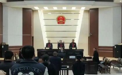 残忍至极！持枪猎杀745只藏羚羊，潜逃20余年
