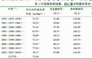 如何估算我国森林碳储量，充分发挥森林碳汇价值？听听北京林业大学教授张颖怎么说