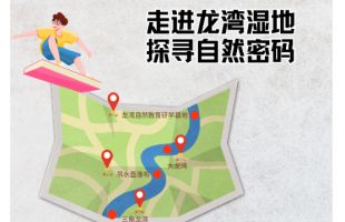 走进龙湾湿地，探寻自然密码 | 玩转五?